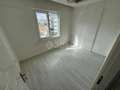 WhatsApp Image 2026-02-17 at 14.17.52.jpeg